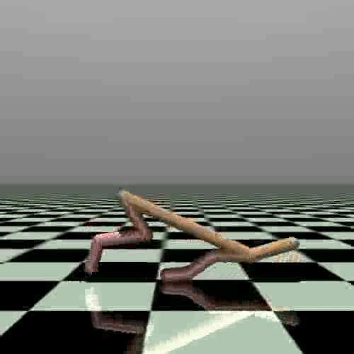 ../_images/cheetah_3.gif