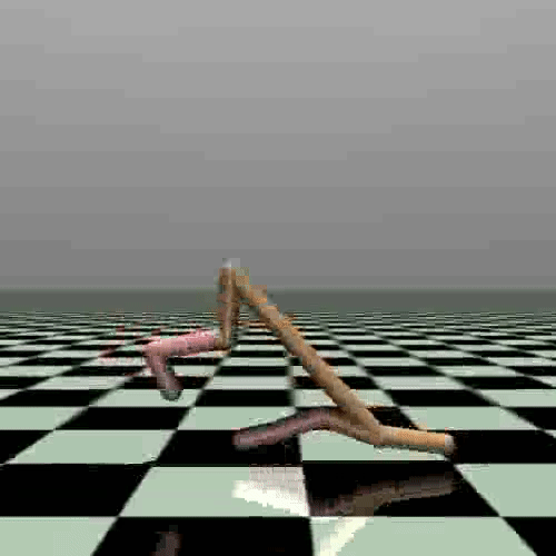 ../_images/cheetah_1.gif